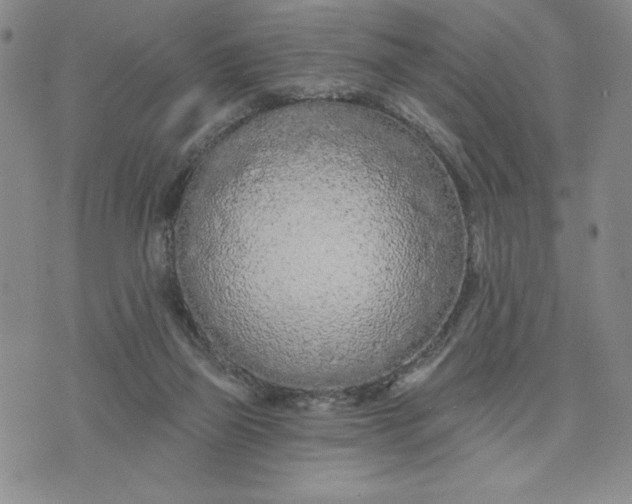 X0000075340165200609251021