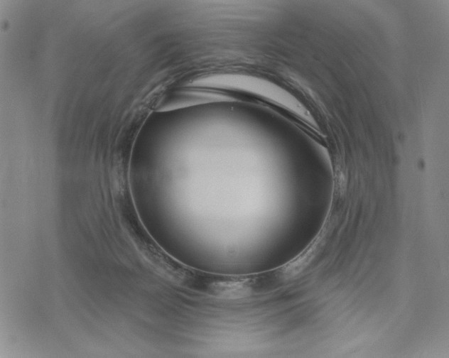 X0000075340170200609251021