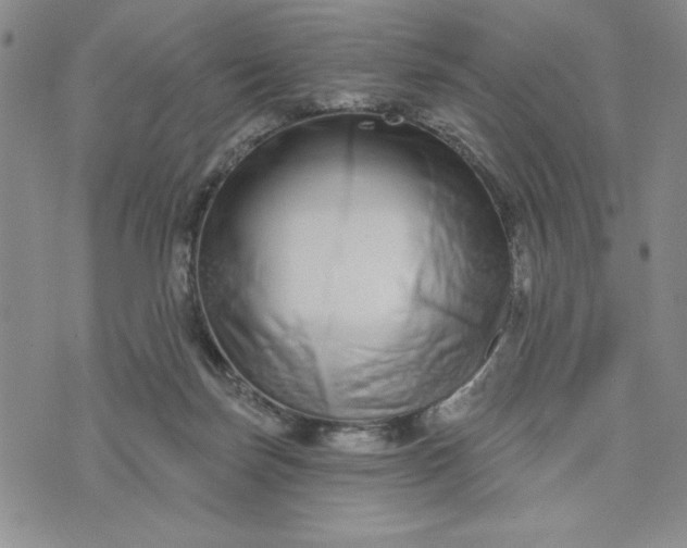 X0000075340171200609251021