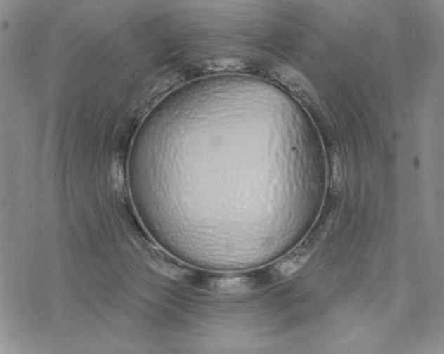 X0000075340173200609251021