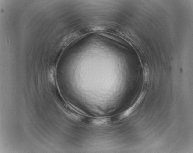 X0000075340175200609251021