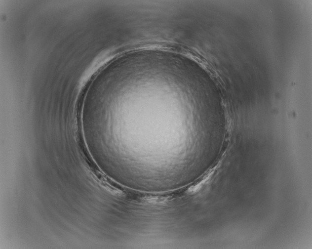 X0000075340198200609251020