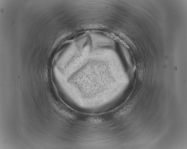 X0000075340207200609251020