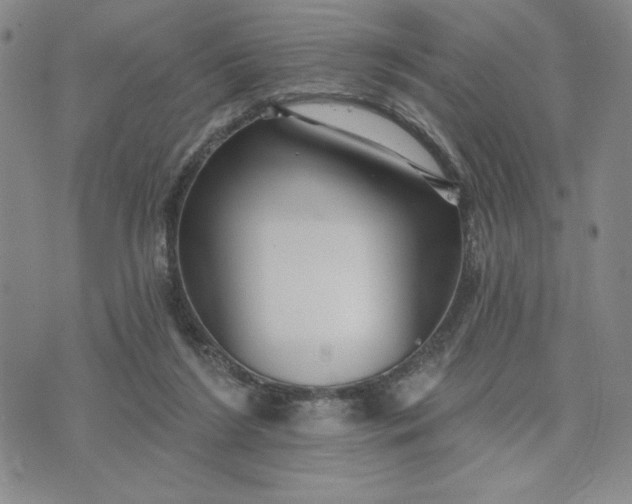 X0000075340212200609251020