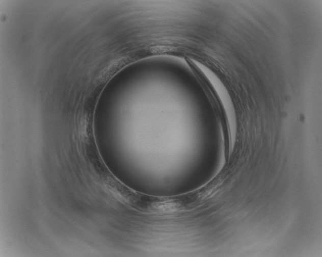 X0000075340219200609251020