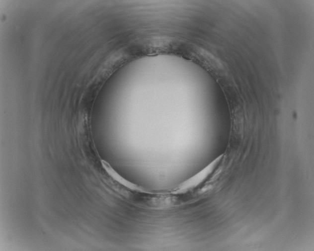 X0000075340225200609251020