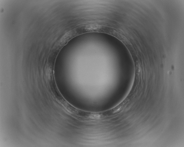 X0000075340227200609251020