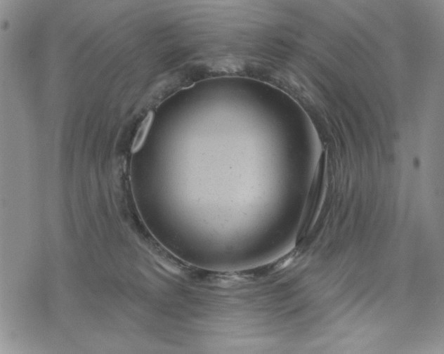 X0000075340229200609251020