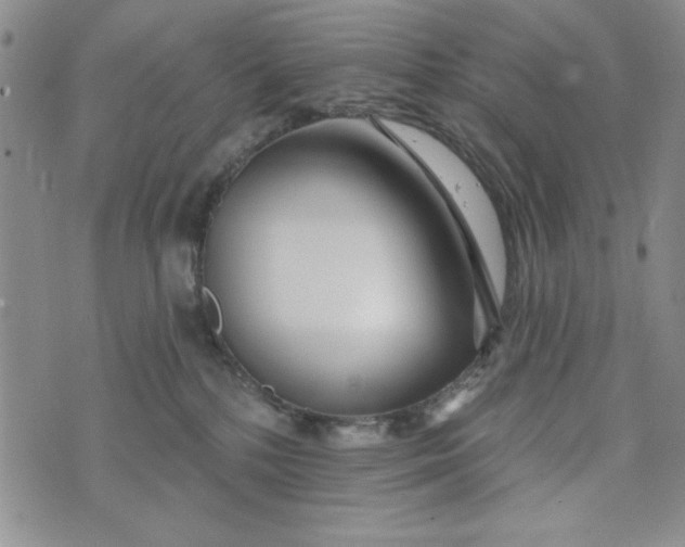 X0000075340232200609251020