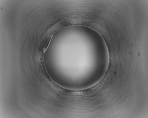 X0000075340233200609251020