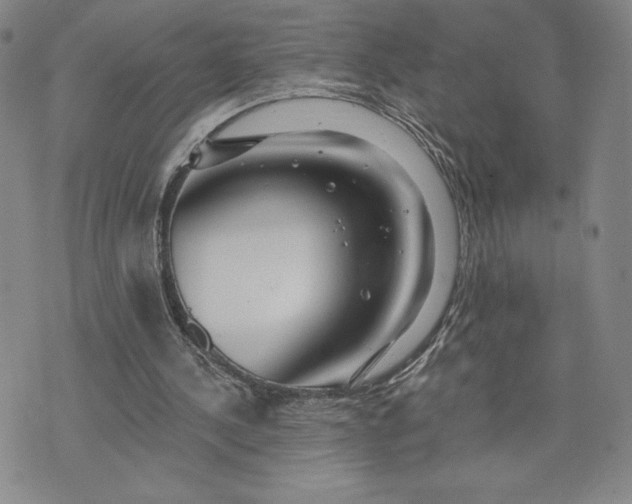 X0000075340244200609251019