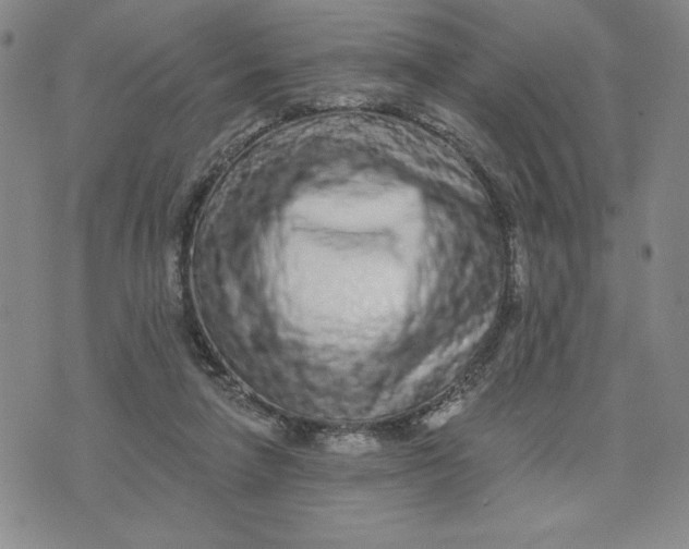 X0000075340258200609251019