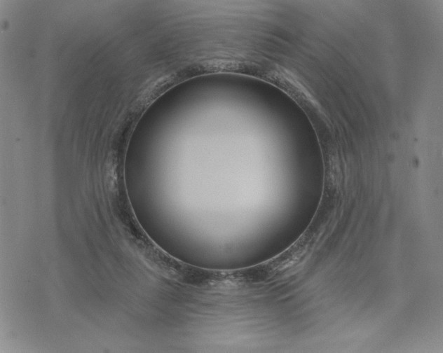 X0000075340259200609251019