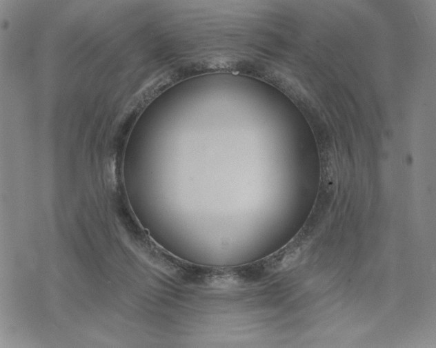 X0000075340262200609251019