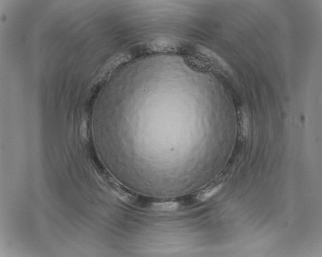 X0000075340266200609251019