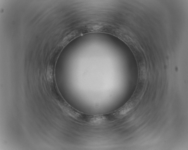 X0000075340274200609251019