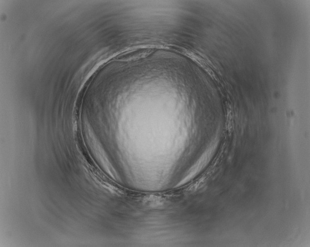 X0000075340290200609251019