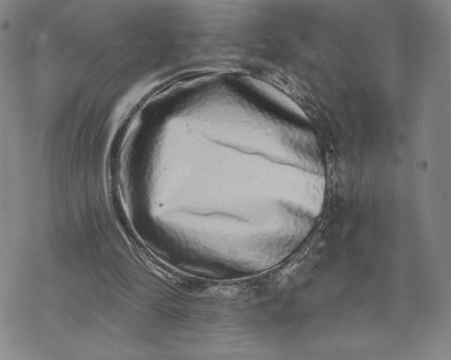 X0000075340294200609251019