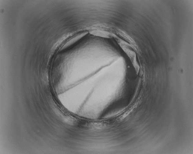 X0000075340298200609251018