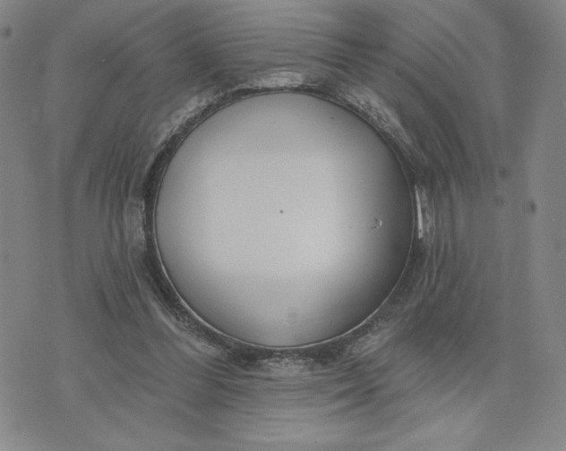 X0000075340300200609251018