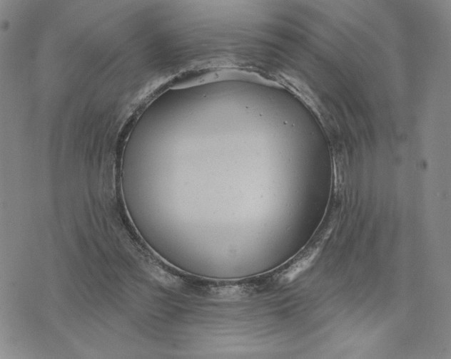 X0000075340301200609251018