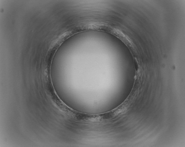 X0000075340306200609251018