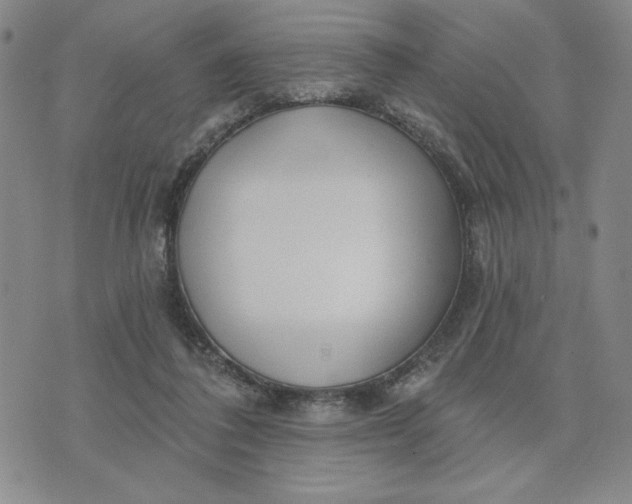 X0000075340308200609251018