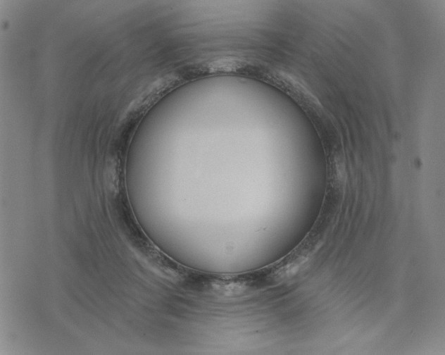 X0000075340311200609251018