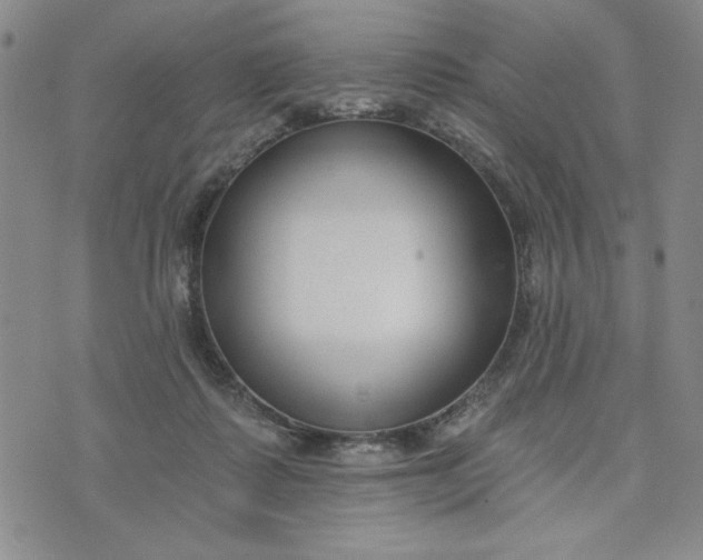 X0000075340315200609251018