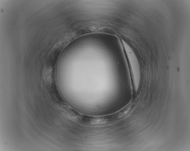 X0000075340319200609251018