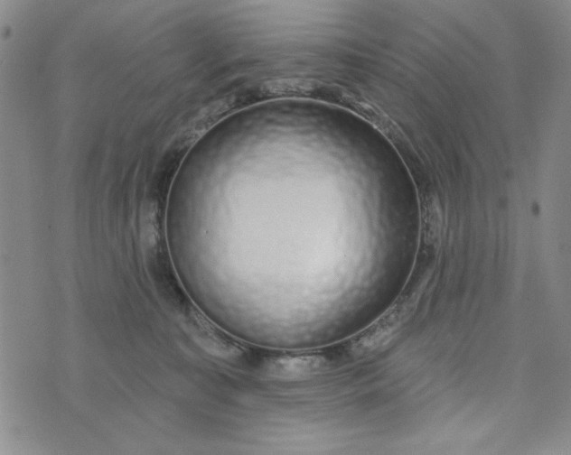 X0000075340323200609251018