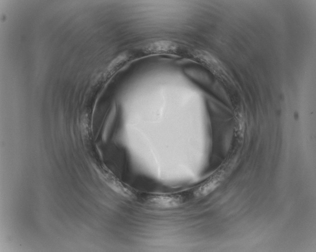 X0000075340326200609251018