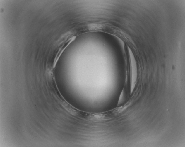 X0000075340329200609251018