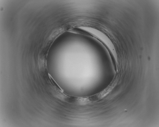 X0000075340333200609251018