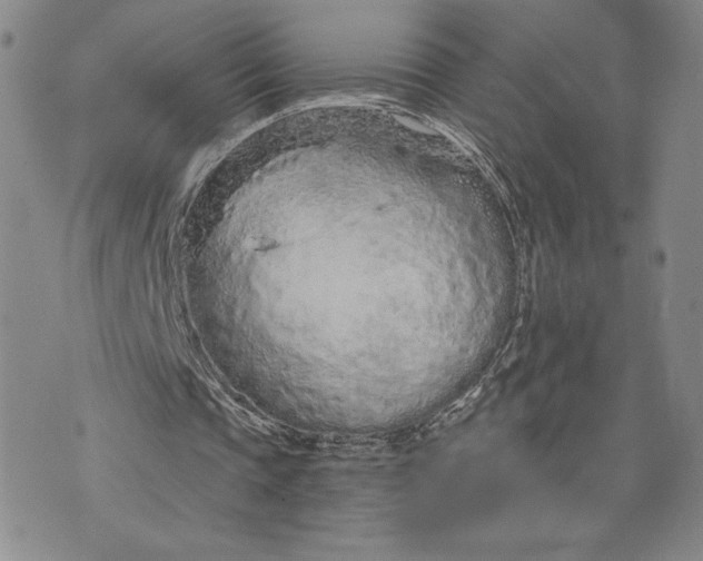 X0000075340337200609251017