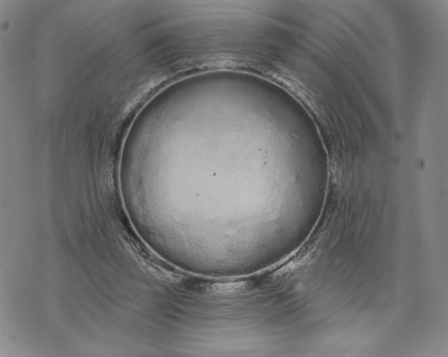 X0000075340347200609251017