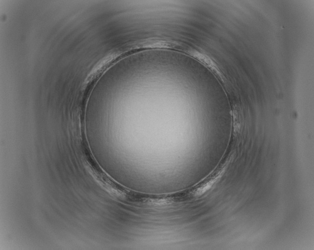 X0000075340349200609251017