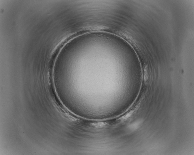X0000075340351200609251017