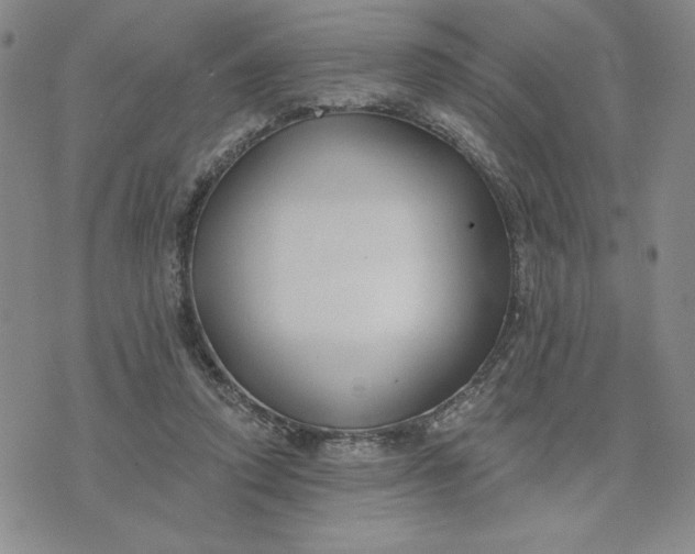 X0000075340354200609251017