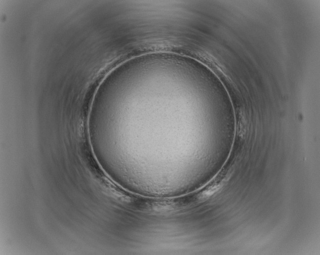 X0000075340355200609251017