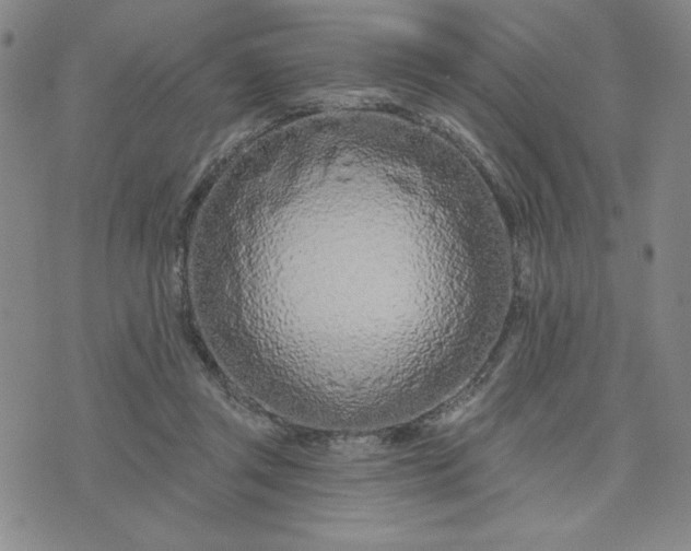 X0000075340357200609251017