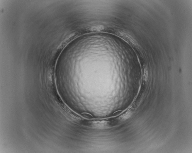 X0000075340363200609251017