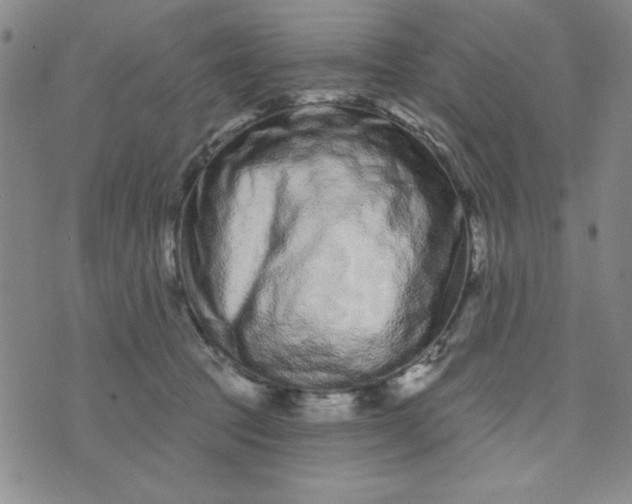 X0000075340369200609251018