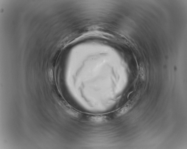 X0000075340375200609251018