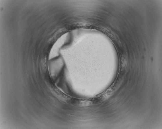 X0000075340376200609251018