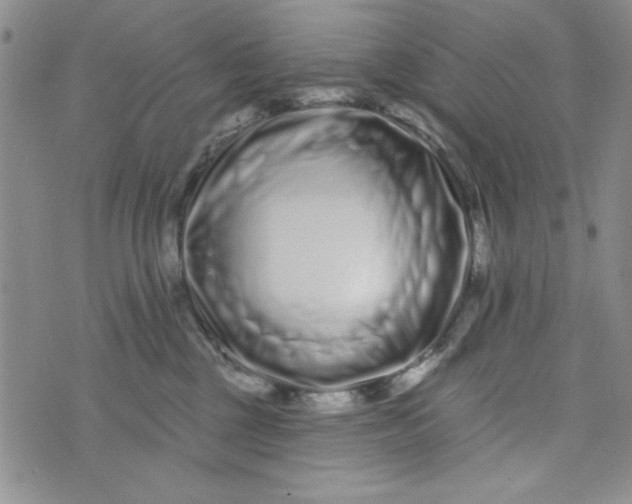 X0000075340377200609251018
