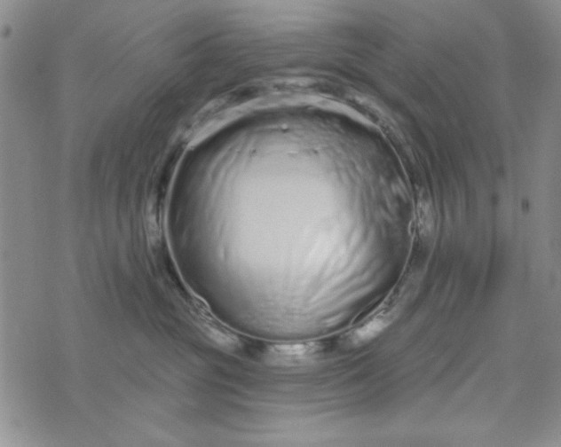 X0000075340381200609251018