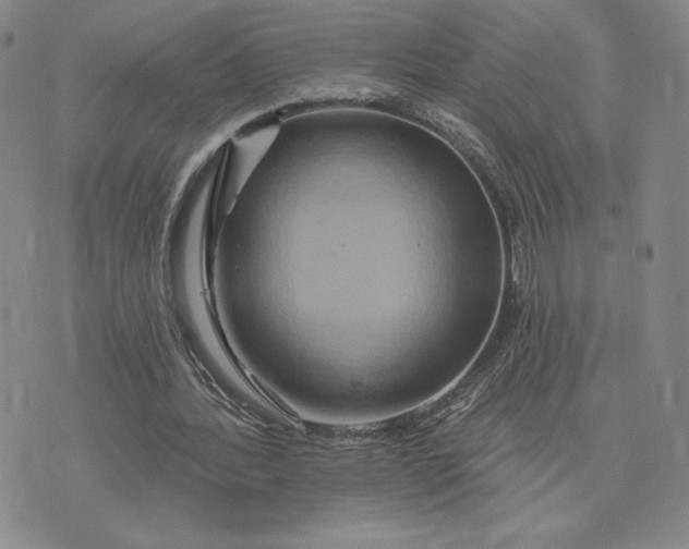X0000075340388200609251017