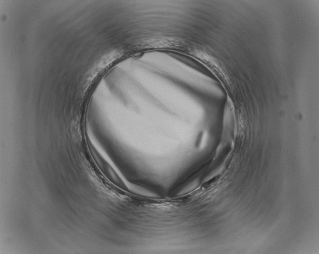 X0000075340394200609251017