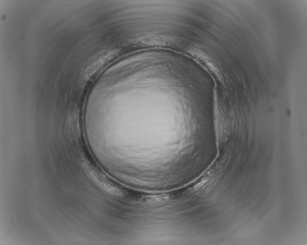 X0000075340398200609251017
